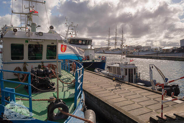 Presidents Pool Gdynia